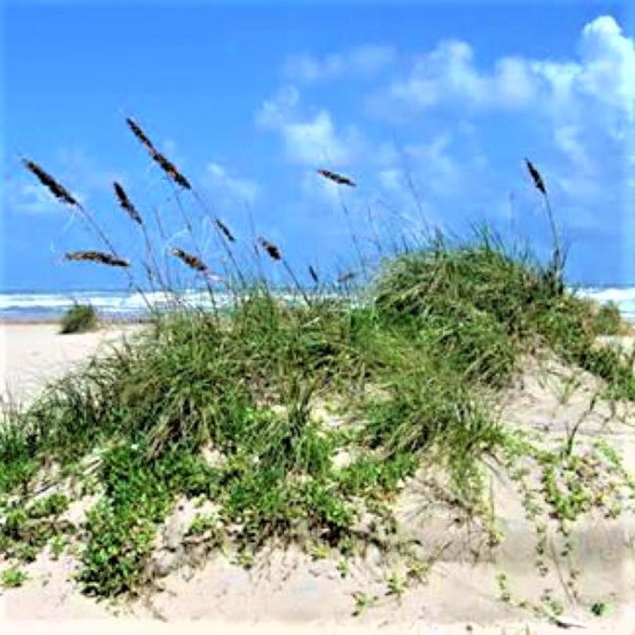 Village By The Gulf Gulf Shores Buitenkant foto